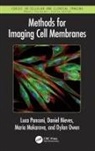 Maria Makarova, Daniel Nieves, Dylan Owen, Luca Panconi, Luca Nieves Panconi - Methods for Imaging Cell Membranes