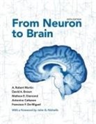 David A. Brown, Antonino Cattaneo, Francisco F. De-Miguel, Mathew E. Diamond, Diamond Mathew E., A. Robert Martin... - From Neuron to Brain