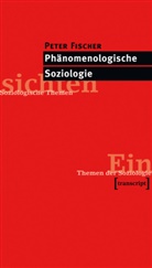 Peter Fischer - Phänomenologische Soziologie