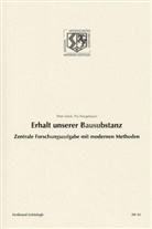 Peter Mark, Pia Neugebauer, Birgitt Haneklaus - Erhalt unserer Bausubstanz