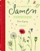 Clare Gogerty - Die Magie der Samen