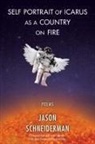 Jason Schneiderman - Self Portrait of Icarus as a Country on Fire