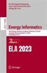 Luiz Carlos Pereira da Silva, Luiz Carlos Pereira Da Silva, Bo Nørregaard Jørgensen, Zheng Ma - Energy Informatics
