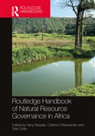 Hany (Carleton University Besada, Hany Besada, Besada Hany, Cristina D'Alessandro, D'Alessandro Cristina, Tefsi Golla - Routledge Handbook of Natural Resource Governance in Africa