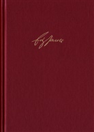 Friedrich Heinrich Jacobi, Catia Goretzki, Walter Jaeschke, Birgit Sandkaulen - Friedrich Heinrich Jacobi: Briefwechsel - Nachlaß - Dokumente / Briefwechsel. Reihe I: Text. Band 14: Briefwechsel August 1805 bis Dezember 1810. Nr. 4579-5060