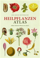 Hermann Adolph Köhler, Dr Oliver Tackenberg, Dr. Oliver Tackenberg, Oliver Tackenberg - Der große Heilpflanzen-Atlas (Erfolgsausgabe)