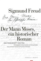 Michel Fagard, Sigmund Freud, Thomas Gindele - Der Mann Moses, ein historischer Roman