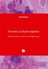 Shikai Liang, Xianli Lv, Youtu Wu - Frontiers in Hydrocephalus