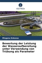 Misganu Enkossa - Bewertung der Leistung der Wasseraufbereitung unter Verwendung von Trübung als Parameter