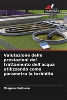 Misganu Enkossa - Valutazione delle prestazioni del trattamento dell'acqua utilizzando come parametro la torbidità