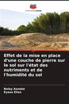 Belay Asnake, Eyasu Elias - Effet de la mise en place d'une couche de pierre sur le sol sur l'état des nutriments et de l'humidité du sol
