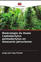 Jorge Joel Inga Pinedo - Bioécologie du Hualo Leptodactylus pentadactylus en Amazonie péruvienne