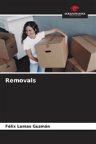 Félix Lamas Guzmán - Removals