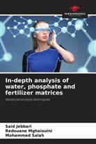 Said Jebbari, Redouane Mghaiouini, Mohammed Salah - In-depth analysis of water, phosphate and fertilizer matrices