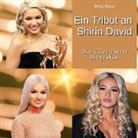 Britta Maier - Ein Tribut an <br> Shirin David