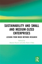 Aharon Ulhi Factor, Aharon Factor, Factor Aharon, John Parm Ulhøi - Sustainability and Small and Medium-Sized Enterprises
