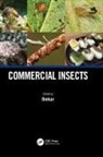 Professor (University of Lucknow Omkar, Professor Omkar - Commercial Insects