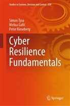 Melisa Gafi¿, Melisa Gafic, Melisa Gafić, Peter Kieseberg, Simon Tjoa - Cyber Resilience Fundamentals