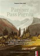 Susanne Peter-Kubli - Panixer   Pass Pigniu