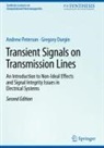 Gregory Durgin, Andrew Peterson - Transient Signals on Transmission Lines