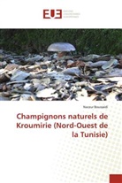 Naceur Boussaidi - Champignons naturels de Kroumirie (Nord-Ouest de la Tunisie)
