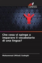 Mohammad (Milad) Sadeghi - Che cosa vi spinge a imparare il vocabolario di una lingua?