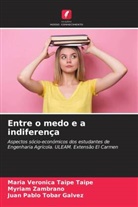 María Verónica Taipe Taipe, Juan Pablo Tobar Gálvez, Myriam Zambrano - Entre o medo e a indiferença