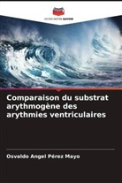Osvaldo Angel Pérez Mayo - Comparaison du substrat arythmogène des arythmies ventriculaires