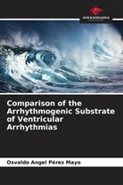 Osvaldo Angel Pérez Mayo - Comparison of the Arrhythmogenic Substrate of Ventricular Arrhythmias