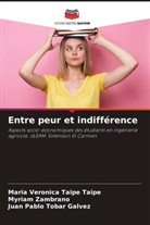 María Verónica Taipe Taipe, Juan Pablo Tobar Gálvez, Myriam Zambrano - Entre peur et indifférence