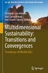 Fernando Luís Almeida, José Carlos Morais, José Duarte Santos, José Carlos Morais, José Duarte Santos - Multidimensional Sustainability: Transitions and Convergences