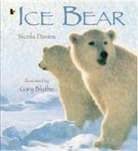 Nicola Davies, Gary Blythe - Ice Bear