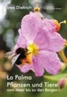 Dietrich Ines - La Palma. Pflanzen und Tiere vom Meer bis zu den Bergen