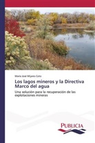 María José Mijares Coto - Los lagos mineros y la Directiva Marco del agua