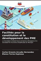 Carlos Ernesto Arcudia Hernandez, Blanca Torres Espinosa - Facilités pour la constitution et le développement des PME