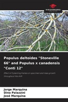 Jorge Marquina, José Marquina, Dino Palazzini - Populus deltoides "Stoneville 66" and Populus x canadensis "Conti 12"