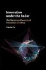Xiaolan Fu, Xiaolan (University of Oxford) Fu, Fu Xiaolan - Innovation under the Radar
