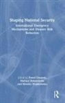 Pawel Feltynowski Gromek, Mariusz Feltynowski, Pawel Gromek, Monika Wojakowska - Shaping National Security