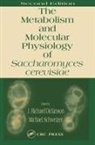 J. Richard (Cardiff University Dickinson, J. Richard Schweizer Dickinson, J. Richard Dickinson, Dickinson J. Richard, Michael Schweizer, Schweizer Michael - Metabolism and Molecular Physiology of Saccharomyces Cerevisiae