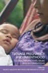 Helen Evans Holgate, Roy Evans, Helen Holgate, Francis K O Yuen, Francis K. O. Yuen - Teenage Pregnancy and Parenthood
