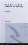 Bill Sanders - Youth Crime and Youth Culture in the Inner City