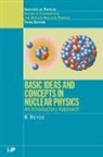 K Heyde, K. Heyde - Basic Ideas and Concepts in Nuclear Physics