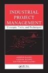 Abidemi Badiru, Adedeji Badiru, Adedeji Badiru Badiru, Adetokunboh Badiru, Badiru Abidemi, Badiru Adetokunboh - Industrial Project Management