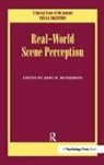 John M. Henderson, John M. (Michigan State University Henderson, John M Henderson, John M. Henderson, Henderson John M. - Real World Scene Perception