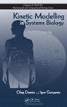 Oleg Demin, Oleg (Moscow State University Demin, Oleg Goryanin Demin, Demin Oleg, Igor Goryanin, Goryanin Igor - Kinetic Modelling in Systems Biology