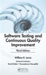 William E. Lewis, William E. (President and Ceo Lewis, Lewis William E. - Software Testing and Continuous Quality Improvement