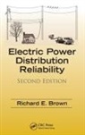 Richard E Brown, Richard E. Brown, Richard E. (Vice President Brown - Electric Power Distribution Reliability