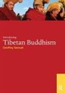 Geoffrey Samuel, Geoffrey (Cardiff University Samuel - Introducing Tibetan Buddhism