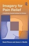 David Pincus, David (Chapman University Pincus, David Sheikh Pincus, Anees A. Sheikh, Sheikh Anees A. - Imagery for Pain Relief
