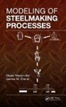 James W. Evans, Evans James W., Dipak Mazumdar, Dipak (Indian Institute of Technology Mazumdar, Dipak Evans Mazumdar, Mazumdar Dipak - Modeling of Steelmaking Processes